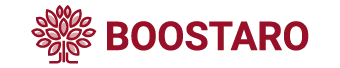 Official logo for the Boostaro supplement